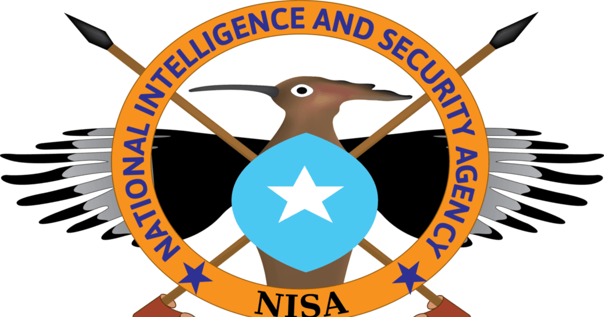 NISA oo sheegtay in duqeyn lagu dilay 41 Al-Shabaab ah