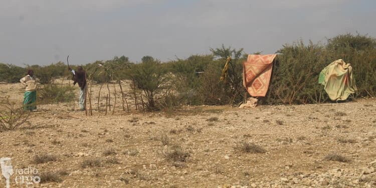 Vulnerable Mudug families left behind in drought-hit village