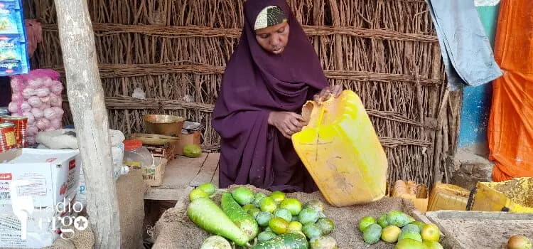 Escalating prices force women in Hargeisa to close their vegetable businesses