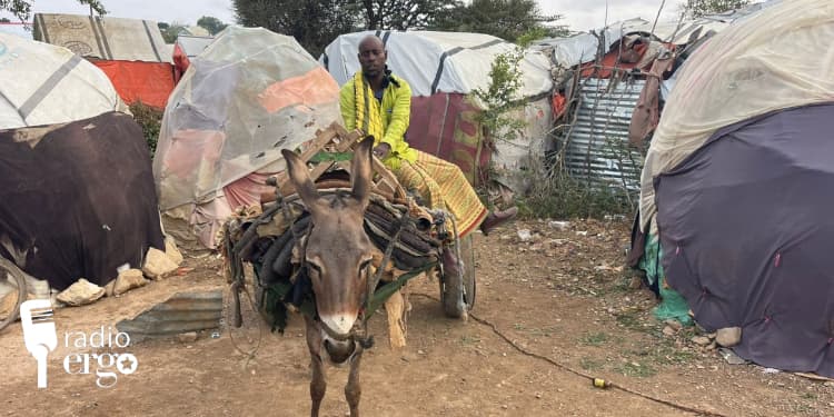 Hargeisa piped water expansion puts humble donkey cart vendors out of work