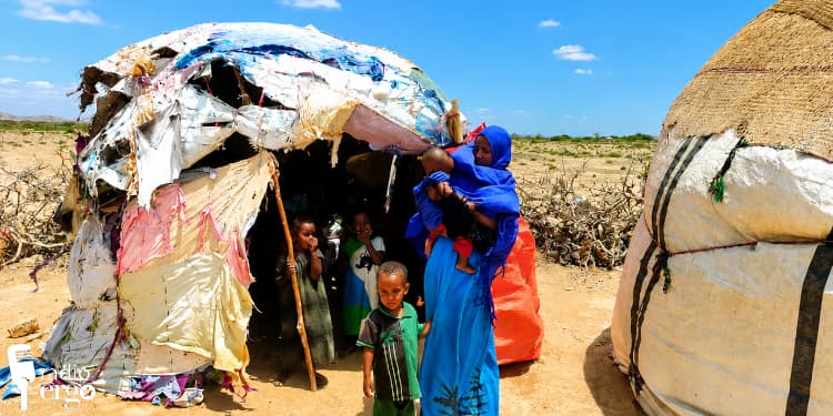 Clan conflict in Sool destroys family livelihoods and forces hundreds to flee