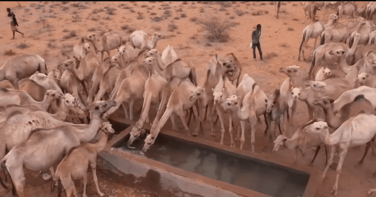 Somaliland oo dib u furtay dhul daaq-simeedka Banka Aroori