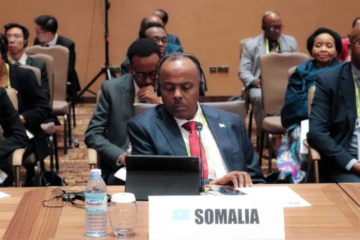 Somalia rejects claims linking EU visa restrictions to eVisa system