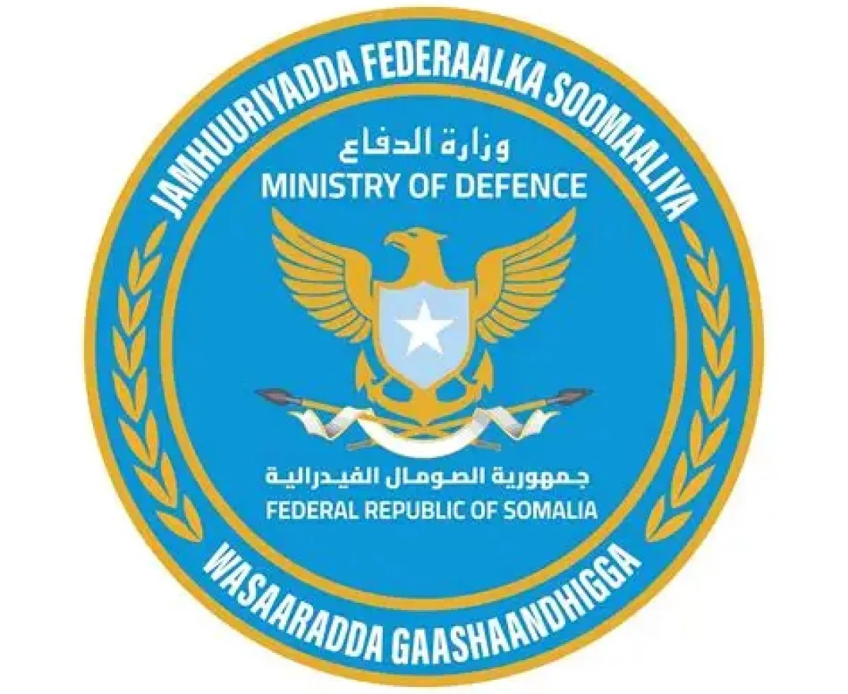 Dozens of Al-Shabaab Militants Killed in Joint Operation, Somali Government Says