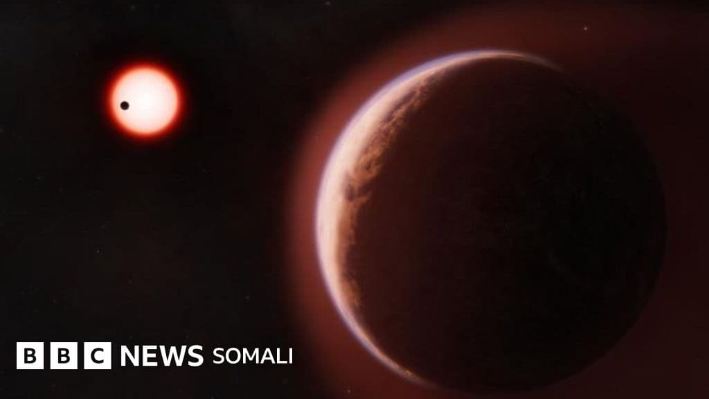 Jawi bani'aadamku ku noolaan karo oo markii ugu horreysay laga dhex helay meere u ek Dhulka