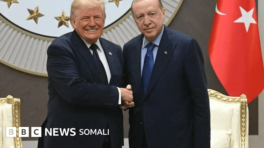 Kulanka Trump iyo Erdogan: 'waxaan tixgalin doonaa inaan Turkiga ka iibino diyaaradda F-35