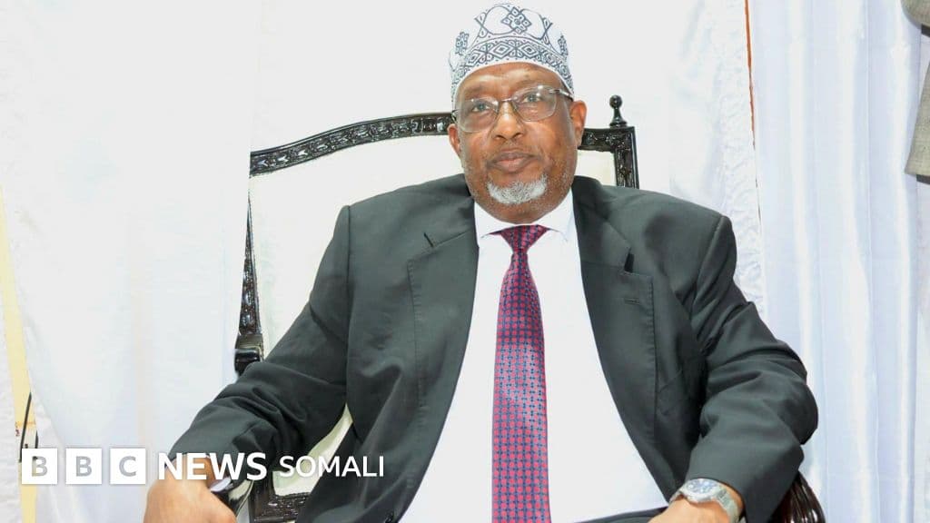 Maxay yihiin howlaha adag ee horyaalla Aadan Madoobe, madaxweynaha cusub ee Koonfur-galbeed?