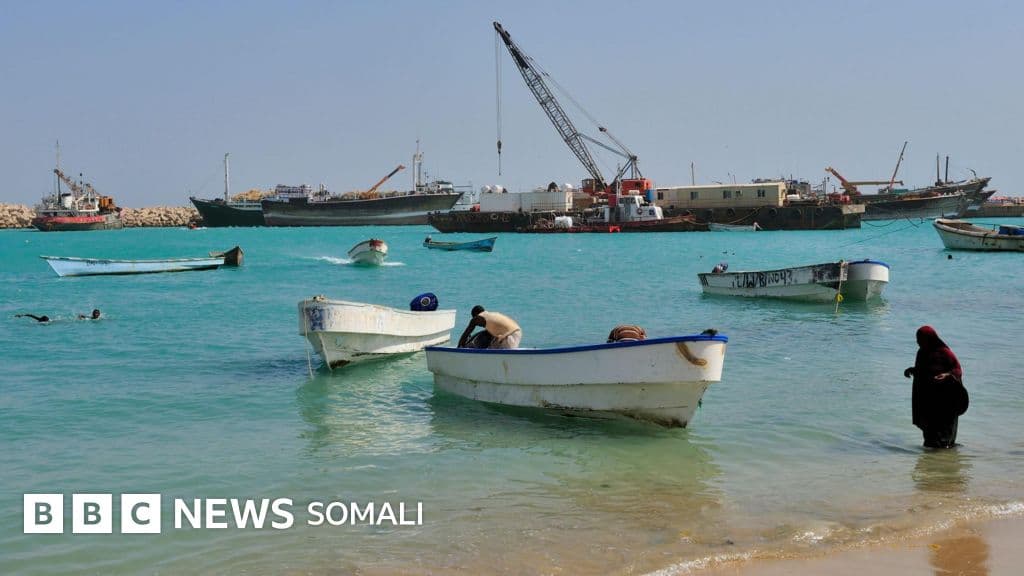 Puntland oo ku adkeysatay in aan maalgashi kalluumeysi laga sameyn karin xeebaheeda
