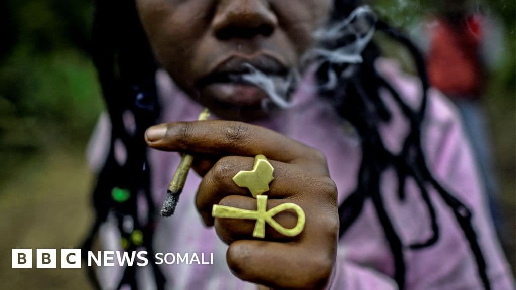 Koox diimeed ku nool Kenya oo ku guuldarreystay isku day ay ku doonayeen in xashiishka la sharciyeeyo