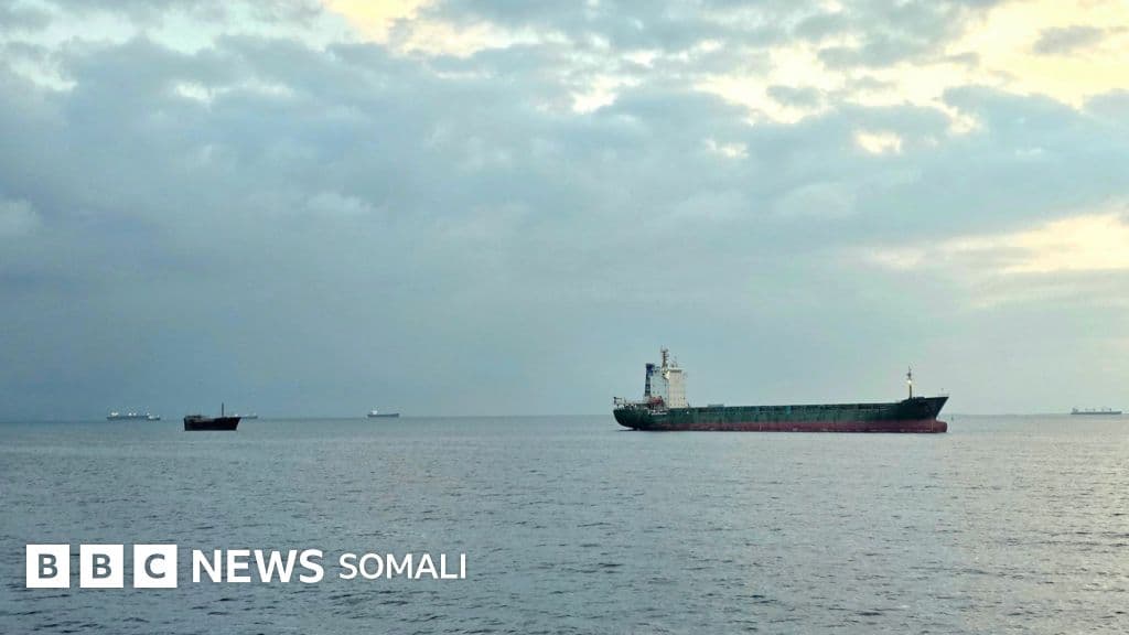 Muxuu dhab ahaantii Maraykanku ka rabaa Iiraan