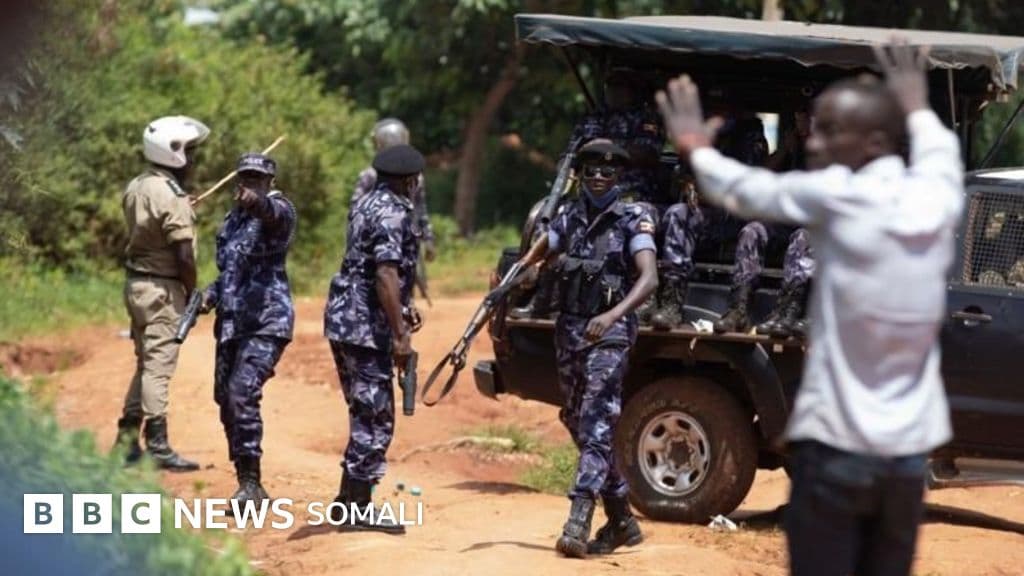 Dilal, silic iyo arxan-darro: Shan maamul oo taariikh dhiig badan ku reebay Afrika
