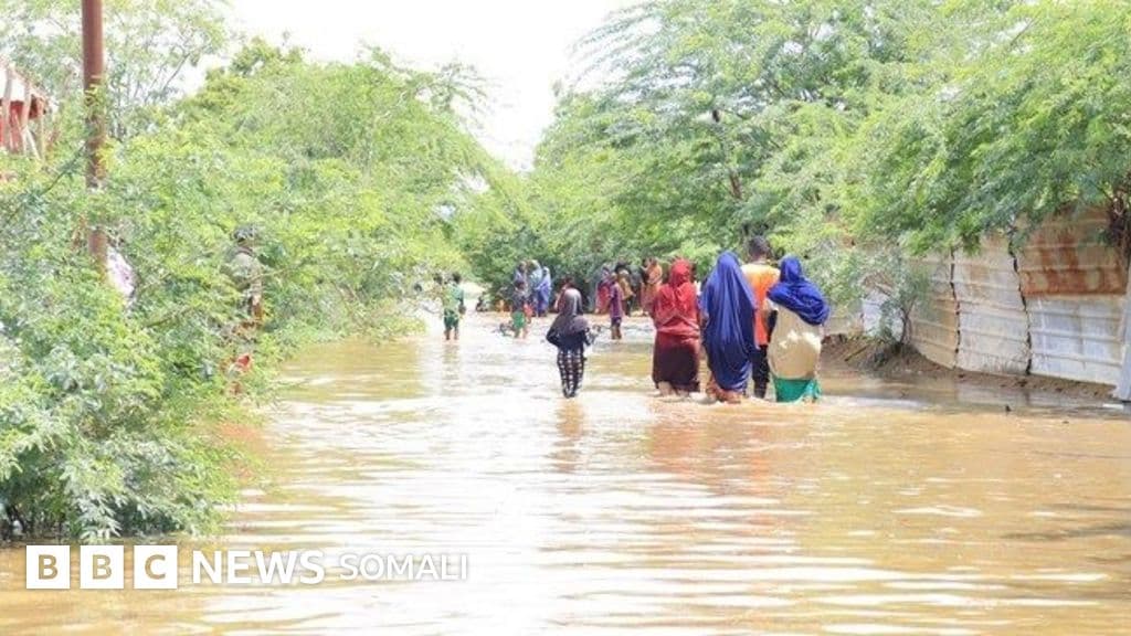 Hay'adaha gargaarka oo ka digaya masiibooyin ay cimilada El Niño keento oo Soomaaliya ka dhaca