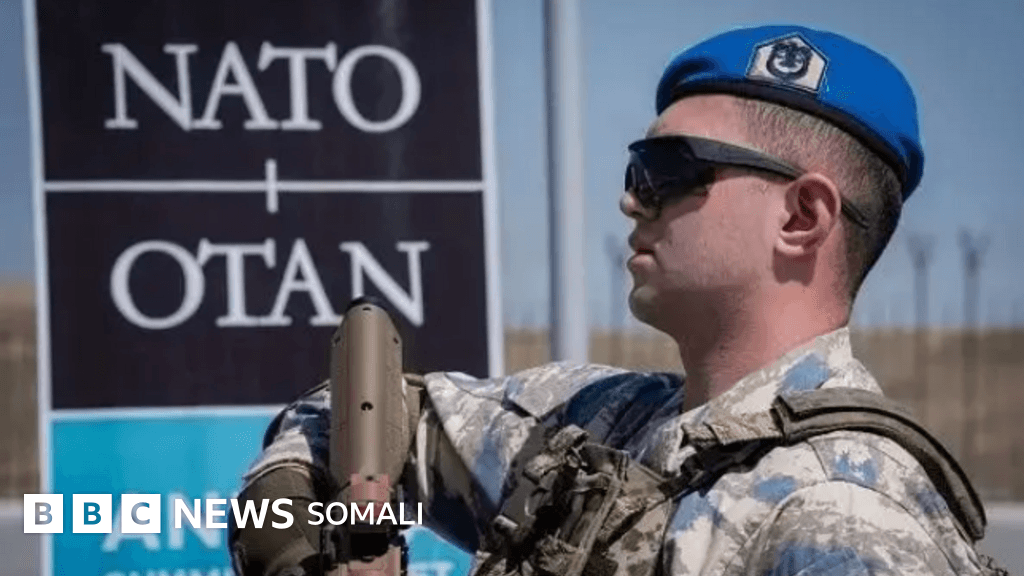 Sidee ayuu Turkigu uga mid noqday gaashaanbuurta NATO?