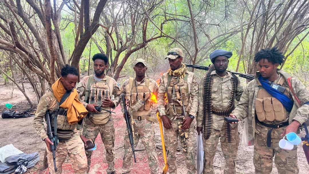 Danab forces overrun Al-Shabaab stronghold near Jilib