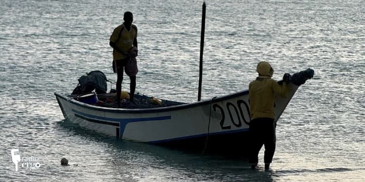 Bari fishermen’s livelihoods destroyed by uncontrolled foreign boats