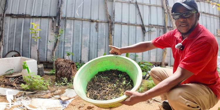 Radio sews the seeds of success for Mogadishu family man