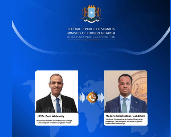 Somalia, Egypt FMs discuss bilateral ties, Horn of Africa, reject recognition of Somaliland